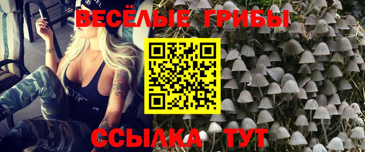 Псилоцибиновые грибы Psilocybine cubensis Железногорск