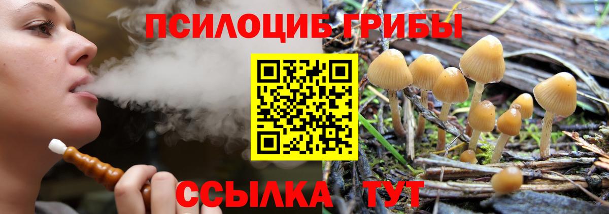 Железногорск  Псилоцибиновые грибы ЛСД  Вход с VPN  Галлюциногенные грибы прущие грибы 
